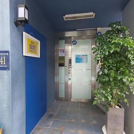 Buzz Guesthouse Hostel